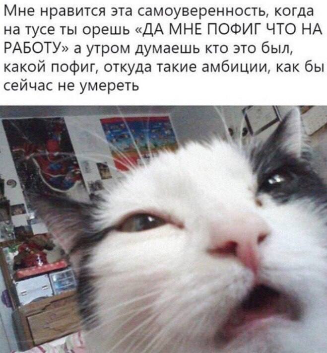 Мне нравится эта самоуверенность, когда на тусе ты орешь «ДА МНЕ ПОФИГ ЧТО НА РАБОТУ» а утром думаешь кто это был, какой пофиг, откуда такие амбиции, как бы сейчас не умереть у У: 2 2
