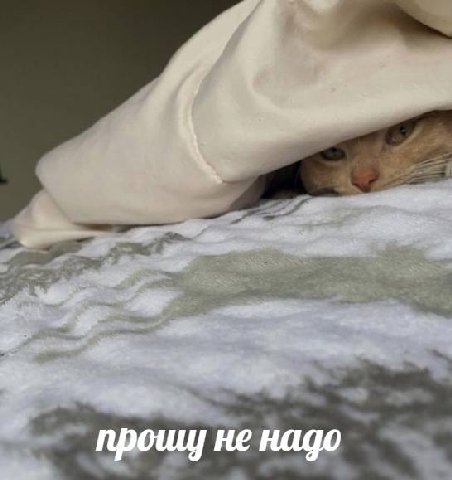 проиц] не надо