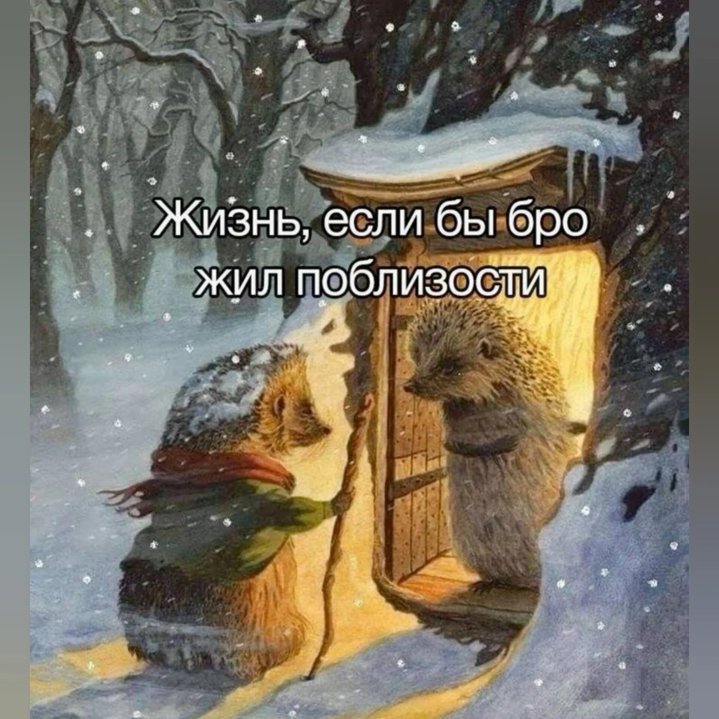 Жизнь, если бы бро жил поблизости 5