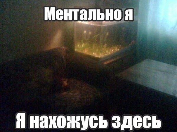 Ментально я Я нахожусь здесь