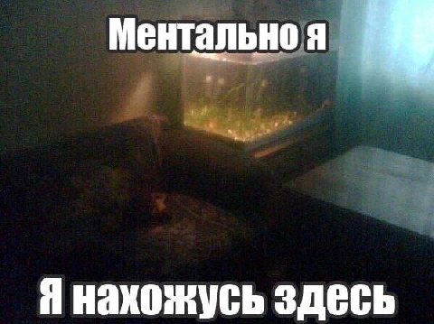 Ментально я Я нахожусь здесь