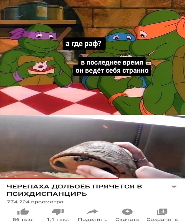а где pad? в последнее время он себя странно ЧЕРЕПАХА ДОЛБОЁБ ПРЯЧЕТСЯ В ПСИХДИСПАНЦИРЬ 774 224 просмотра 56 тыс. 4.7 тыс. Скачать Сохранить