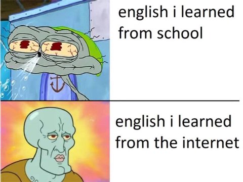 english i learned from school english i learned from the internet 5