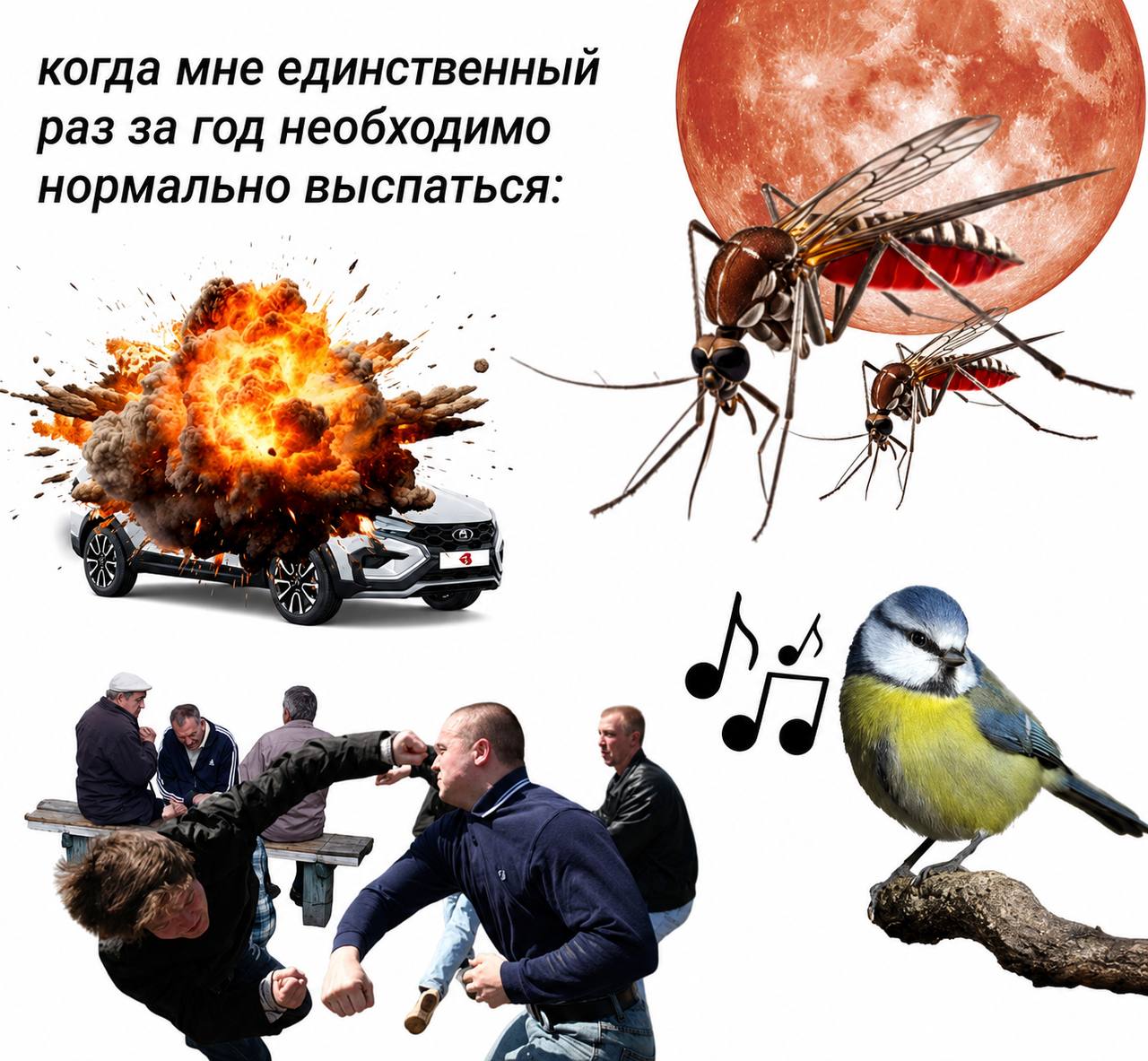 когда мне единственный раз за год необходимо нормально выспаться: 7