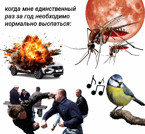 когда мне единственный раз за год необходимо нормально выспаться: 7