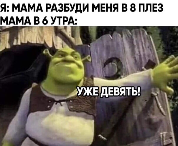 Я: МАМА РАЗБУДИ МЕНЯ В 8 ПЛЕЗ МАМА В 6 УТРА: УЖЕ ДЕВЯТЬ!