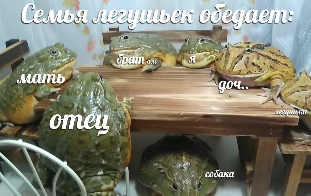Семь: A 4 of собака 4