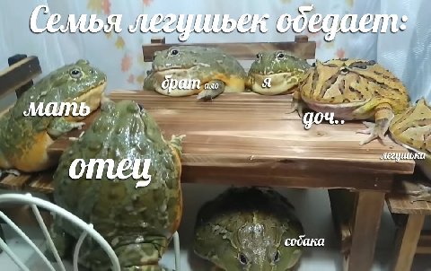 Семь: A 4 of собака 4