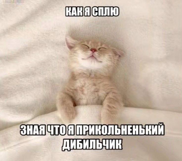 ЧТОЯ ПРИКОЛЬНЕНЬКИЙ ДИБИЛЬЧИК!
