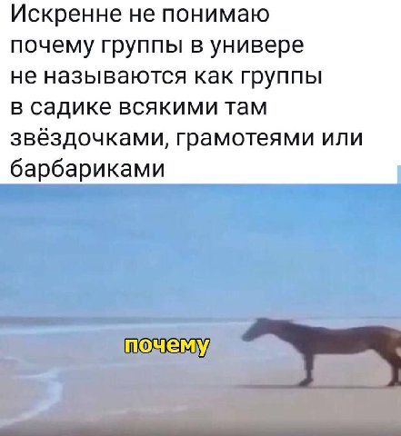 Искренне не понимаю почему группы в универе не называются как группы в садике всякими там звёздочками, грамотеями или барбариками почему