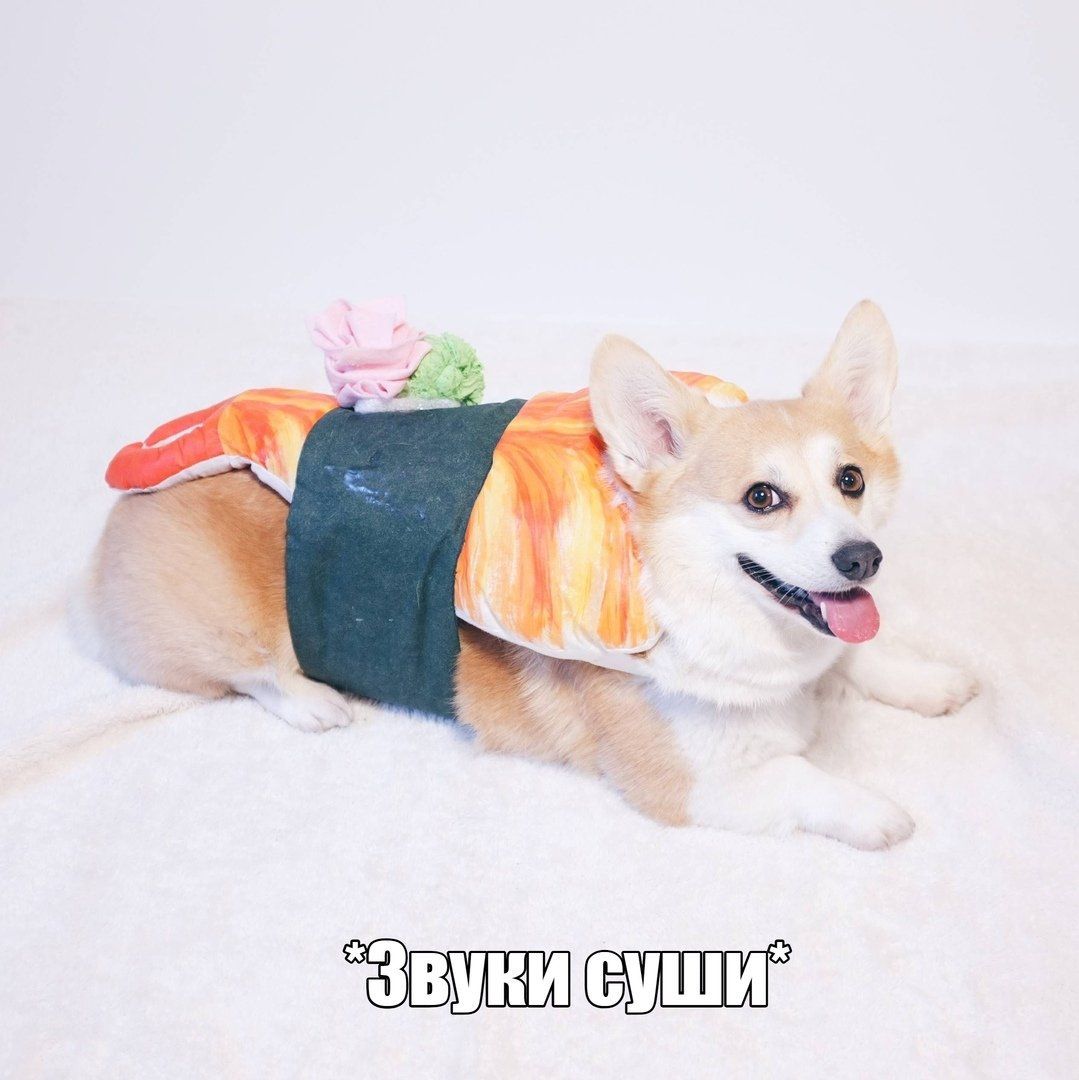в a i