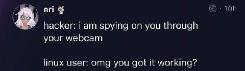 А Гат Spying on you through your webcam linux user: omg you got It working?
