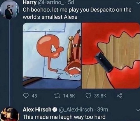 Harry @нагипо_ boohoo, let me play you Despacito on the world's smallest Alexa pas 48 1} Alex Hirsch @_AlexHirsch This made me laugh way too hard