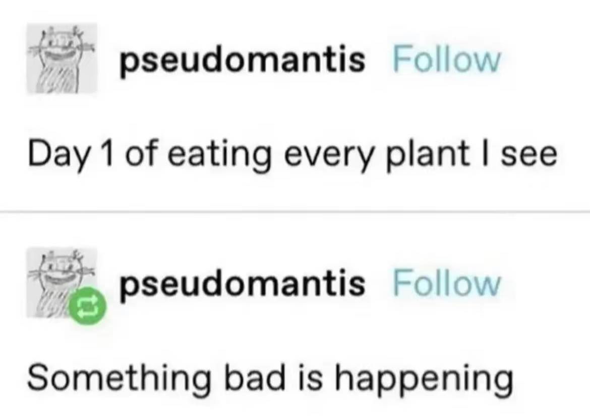 pseudomantis follow Day 1 of eating every plant see pseudomantis Follow pseudomantis Something bad is happening