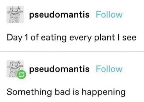pseudomantis follow Day 1 of eating every plant see pseudomantis Follow pseudomantis Something bad is happening