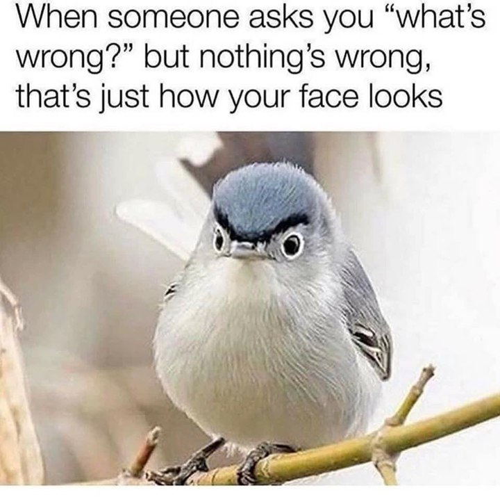 When someone asks you “what’s but nothing’s wrong, that’s just how your face looks wil 4