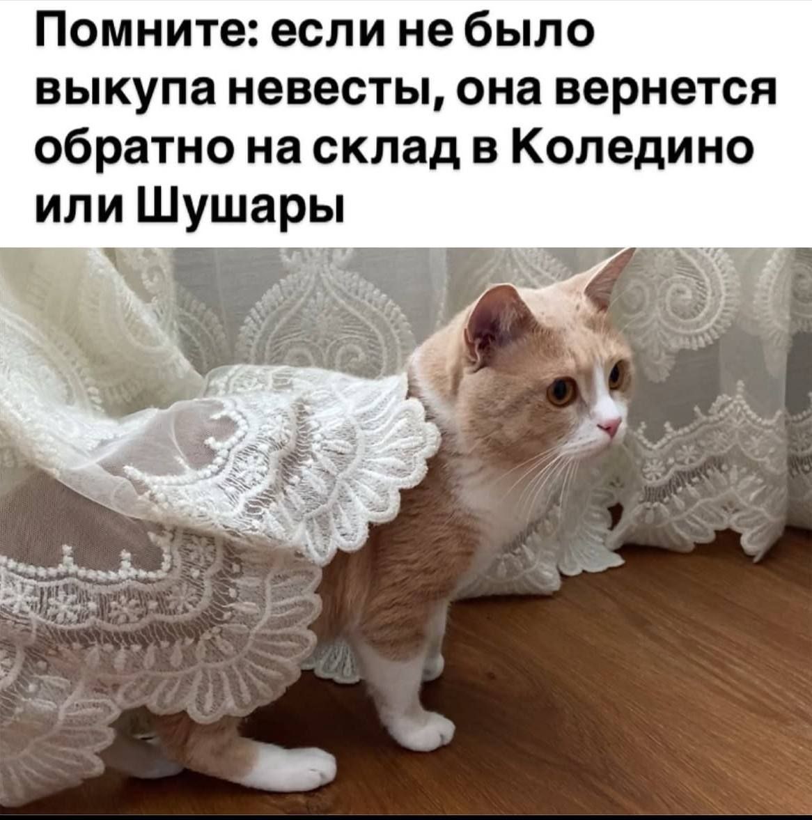 Помните: если небыло выкупа невесты, она вернется обратно насклад в Коледино или Шушары А at