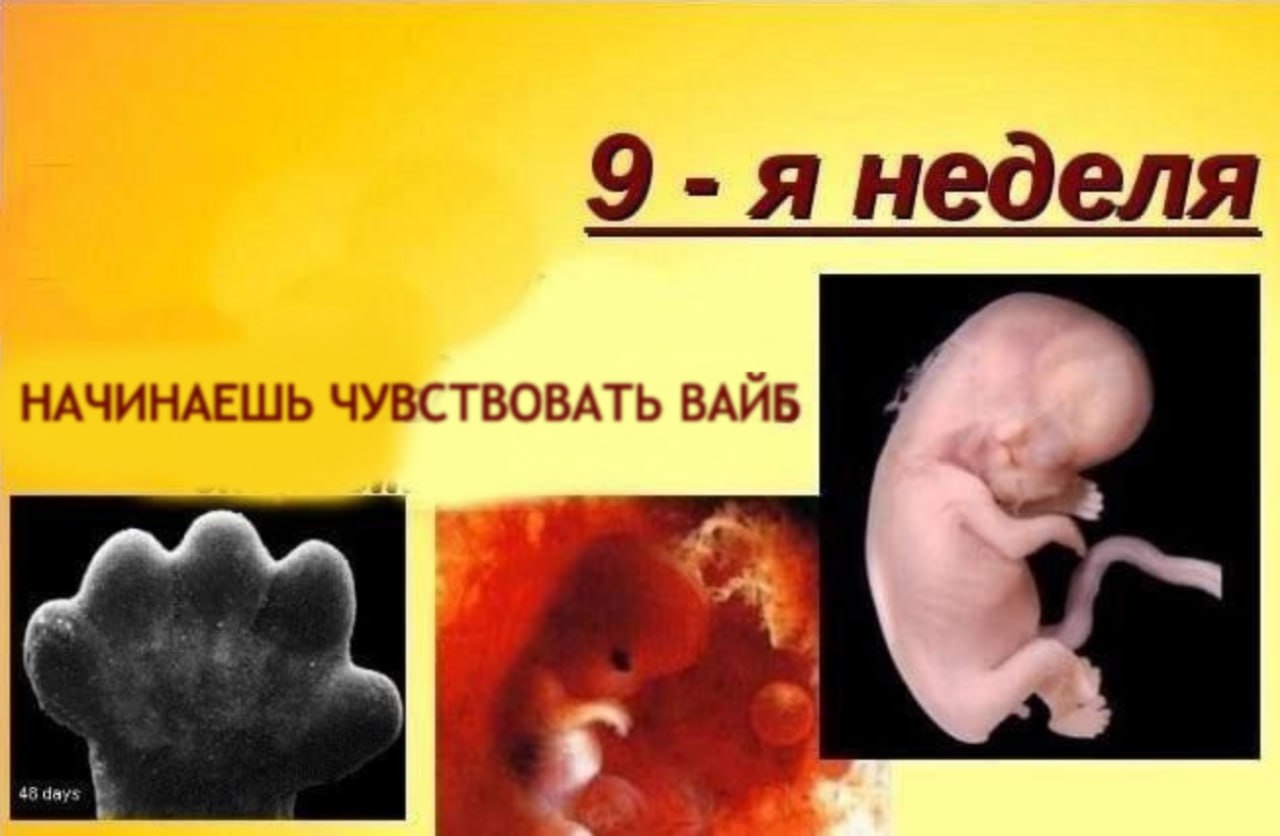 9-я неделя НАЧИНАЕШЬ ЧУВСТВОВАТЬ ВАЙБ