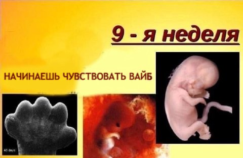9-я неделя НАЧИНАЕШЬ ЧУВСТВОВАТЬ ВАЙБ