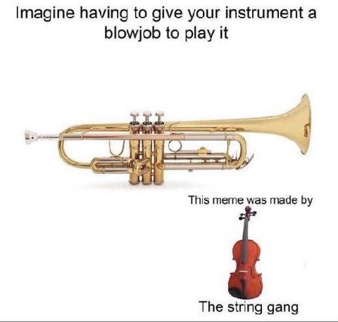 Imagine having to give your instrument а blowjob to play it This meme was made The string gang