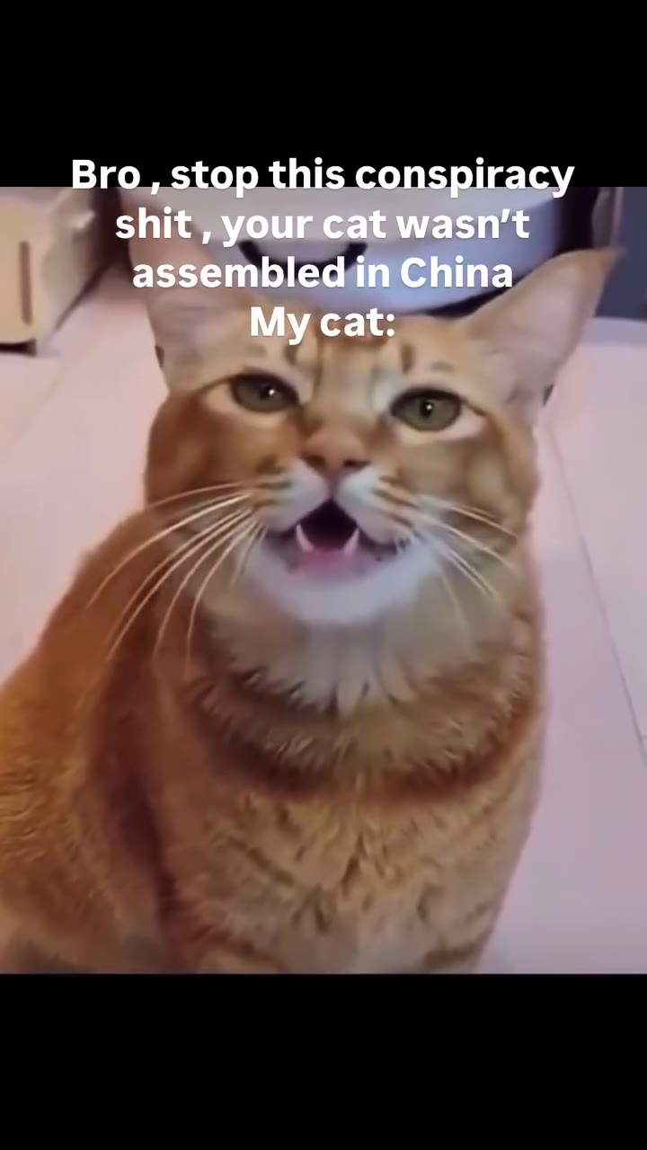 Bro, stop this conspiracy shit your cat wasn’t assembled in China My cat:
