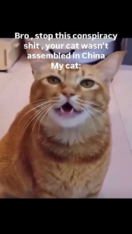 Bro, stop this conspiracy shit your cat wasn’t assembled in China My cat: