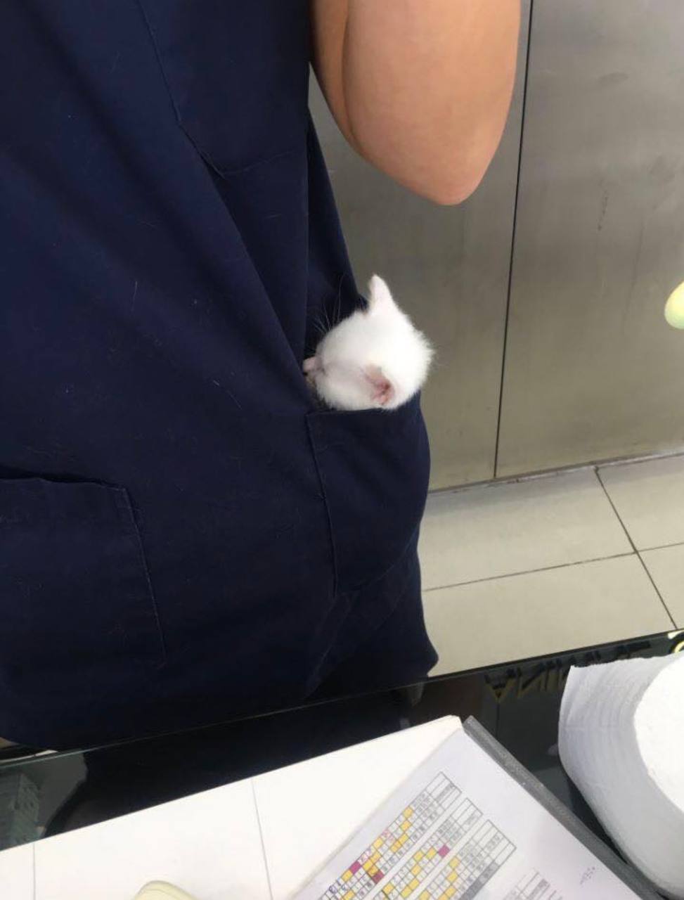 a