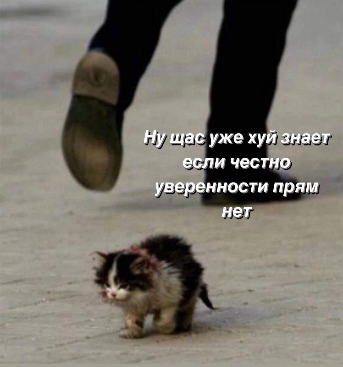 Ну щас уже хуй знает если честно уверенности прям нет