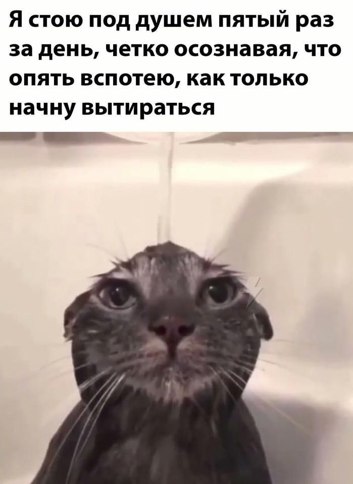 Я стою под душем пятый раз за день, четко осознавая, что опять вспотею, как только начну вытираться