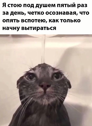 Я стою под душем пятый раз за день, четко осознавая, что опять вспотею, как только начну вытираться