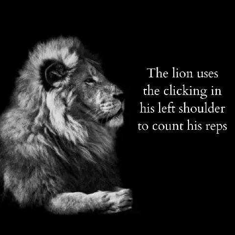 The lion uses the clicking in his left shoulder to count his reps