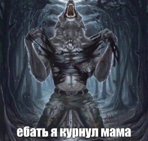 ебать я курнул мама