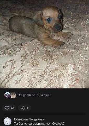 Понравилось 13 людям Екатерина Богданова Ты бы хотел оценить мои буфера?