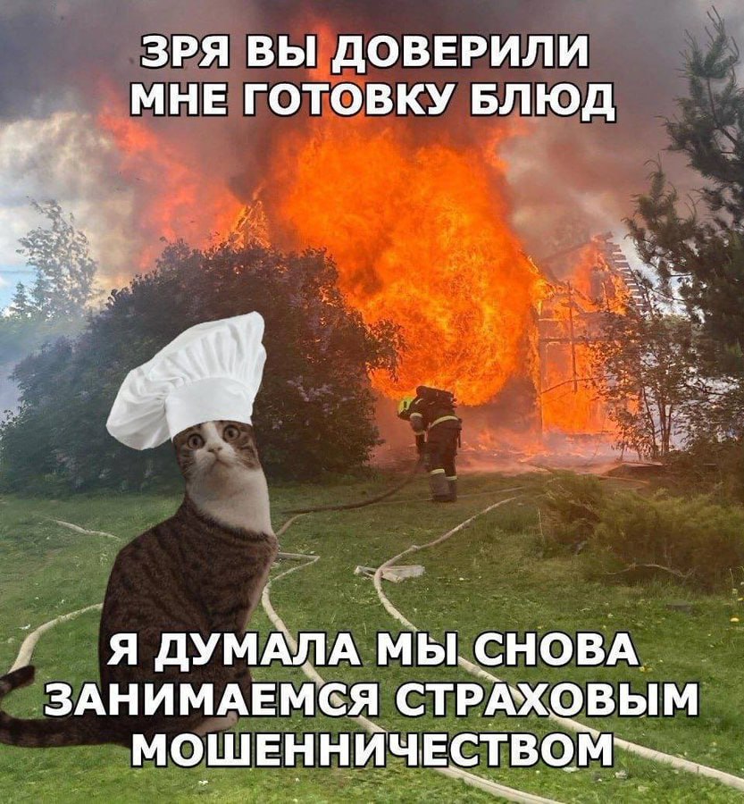 ЗРЯ ВЫ ДОВЕРИЛИ МНЕ ГОТОВКУ БЛЮД Я ДУМАЛА МЫ СНОВА ЗАНИМАЕМСЯ СТРАХОВЫМ МОШЕННИЧЕСТВОМ—