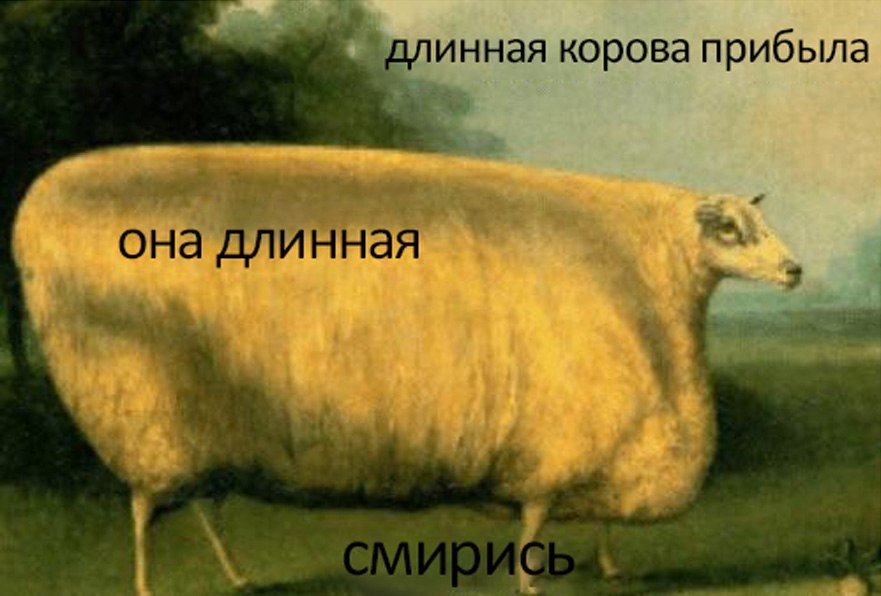 инная корова прибыла она длинная
