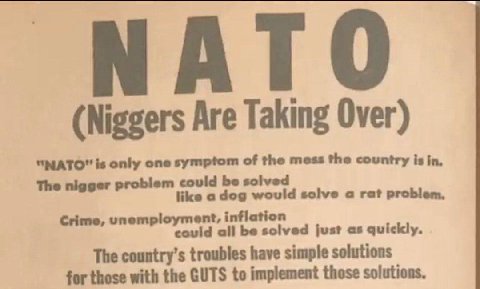 АТО (Niggers Are Taking Over) "УМАТО" is only one symptom of the mess the country is in, The nigger problem could be solved like a would solve a rat problem, Crime, unemploym ent, inflation cou all be