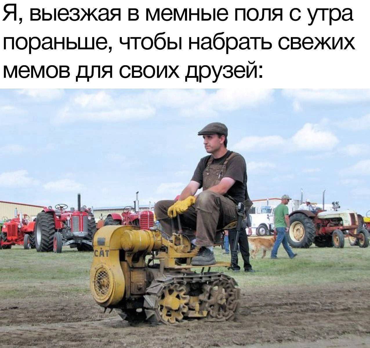 Я, выезжая в мемные поля с утра пораньше, чтобы набрать свежих мемов для своих друзей: 2