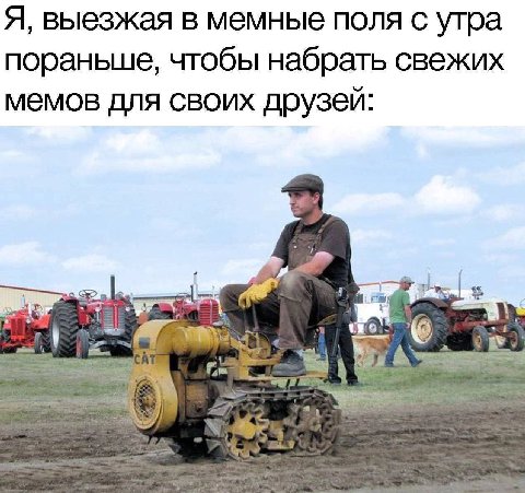 Я, выезжая в мемные поля с утра пораньше, чтобы набрать свежих мемов для своих друзей: 2