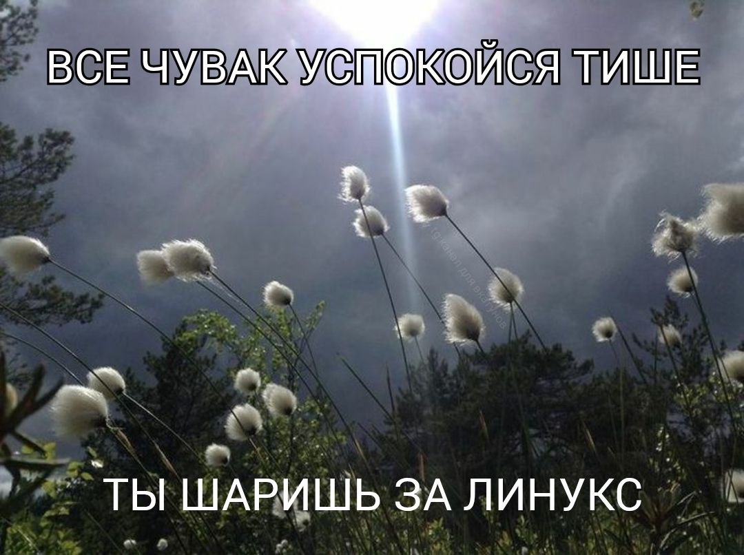 ВСЕ ЧУВАК ОЙСЯ ТИШЕ ты ШАРИШЬ ЗА ЛИНУКС