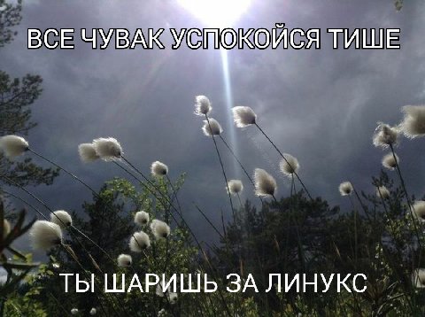 ВСЕ ЧУВАК ОЙСЯ ТИШЕ ты ШАРИШЬ ЗА ЛИНУКС