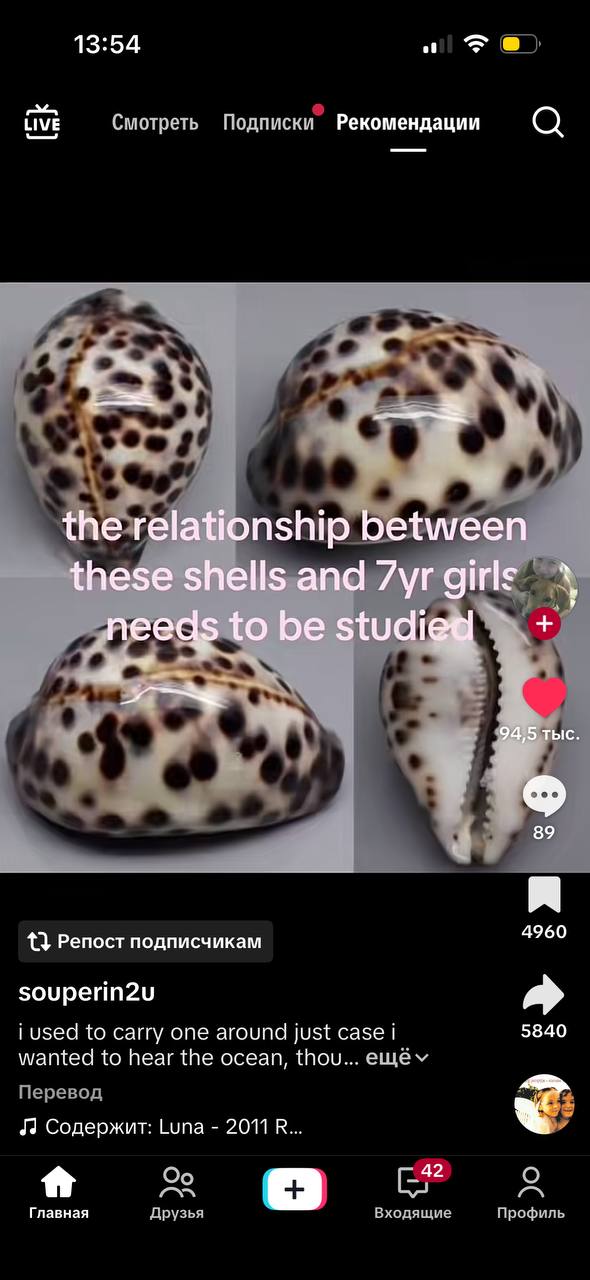 13:54 LIVE Смотреть Подписки Рекомендации the relationship between these shells and girls nee be 94:5 тыс у 89 я 13 Репост подписчикам 4960 souperin2u i used to carry one around just case 5840 wanted 
