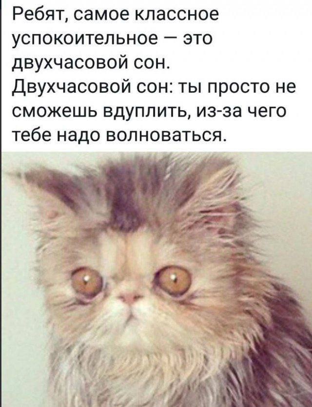 Ребят, самое классное успокоительное это двухчасовой сон. Двухчасовой сон: ты просто не сможешь вдуплить, из-за чего тебе надо волноваться. 7 к a