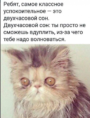 Ребят, самое классное успокоительное это двухчасовой сон. Двухчасовой сон: ты просто не сможешь вдуплить, из-за чего тебе надо волноваться. 7 к a