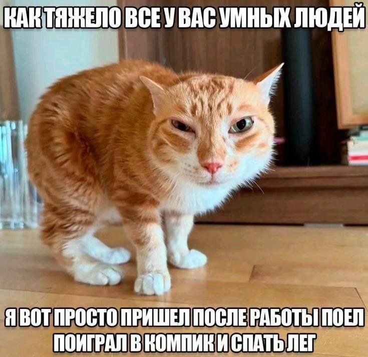 ВСЕУВАС УМНЫХ ЛЮДЕЙ 4 Я ВОТ ПРОСТО ПРИШЕЛ ПОСЛЕ РАБОТЫ! ПОЕЛ ПОИГРАЛ В КОМПИКИ СПАТЬ ЛЕГ