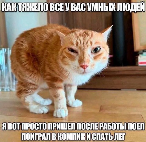 ВСЕУВАС УМНЫХ ЛЮДЕЙ 4 Я ВОТ ПРОСТО ПРИШЕЛ ПОСЛЕ РАБОТЫ! ПОЕЛ ПОИГРАЛ В КОМПИКИ СПАТЬ ЛЕГ