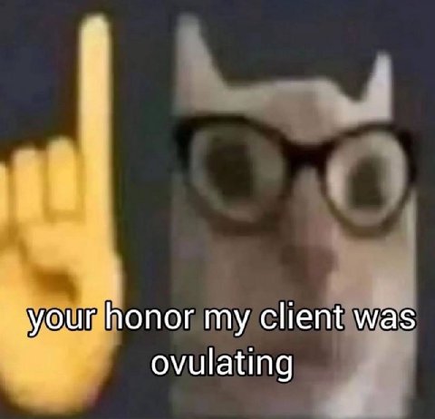 honor my client was ovulating