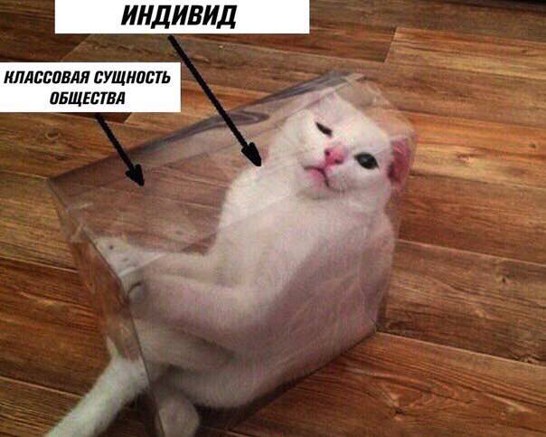 ИНДИВИД НЛАССОВАЯ СУЩНОСТЬ ОБЩЕСТВА