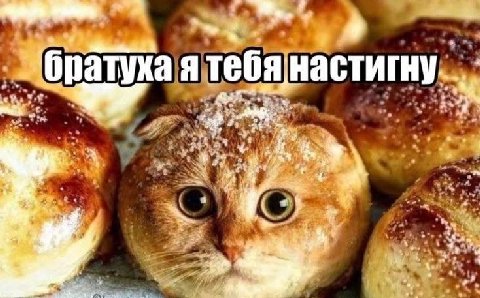 9 'братука at А 4 4 С а i 9 4 у