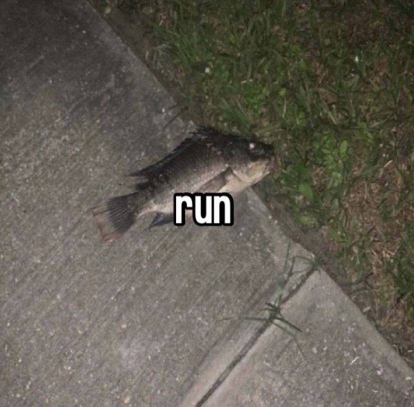 run