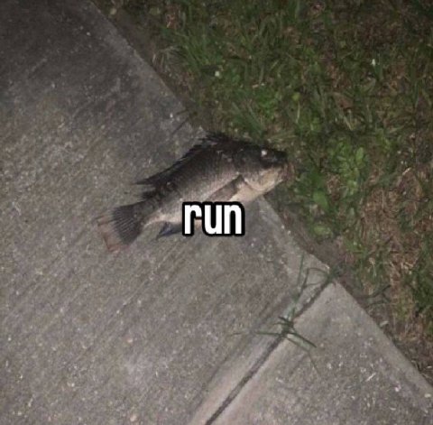 run